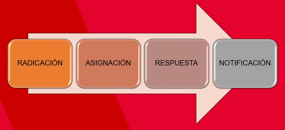 detalle gestion básica de peticiones